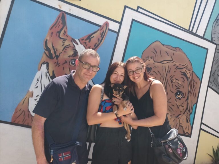 Cachorro abandonado y adoptado.