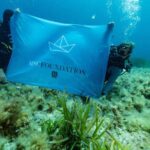 Fundación MSC y Vellmarí: 15.500 Brotes de Posidonia Plantados en Ibiza y Formentera