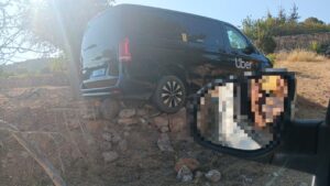 514404752 1853244712088388 3410437964852842811 n