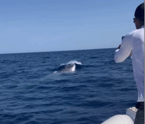 Captura de pantalla 2025 06 24 071549