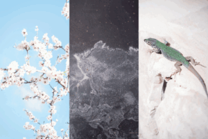 Exposici&oacute;n fotogr&aacute;fica 'Ibiza, la isla perdida de Walter Benjamin', de Cecilia Orueta. Ayuntamiento de Ibiza