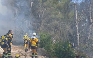 Incendio forestal en Ibiza