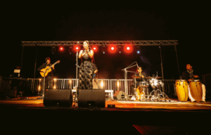 Nit al Baluard Archivo