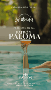 LASMIMOSASA Pool Session Patron RRSS 05