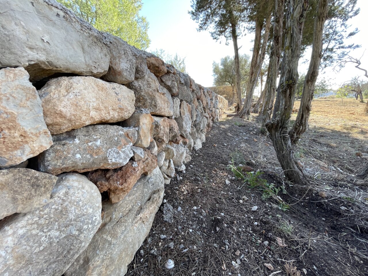 20250728 El Ayuntamiento de Santa Eulària destina 80.000 euros a la conservación y mejora del entorno rural