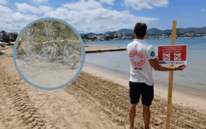 Analizan la reapertura de la playa s'Arenal.