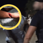 Brazo cortado y hombre detenido. Foto de la Policía Local de Sant Josep