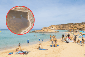 Cala Tarida. Archivo