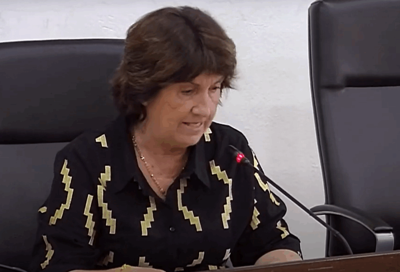 María Domingo