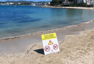 Captura de pantalla 2025 07 29 054658