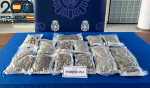 Droga incautada por la Policía Nacional en el puerto de Ibiza.