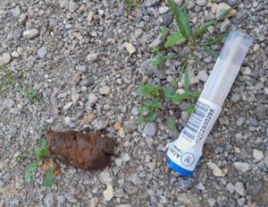 El proyecto de ADN canino hace que desciendan a la mitad los avisos de Línea Verde.