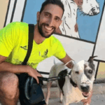 El veterano perro adopado en Sa Coma.
