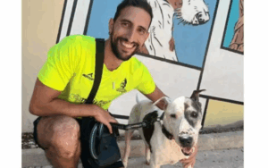 El veterano perro adopado en Sa Coma.