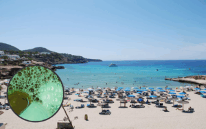 Cala Tarida, Sant Josep de sa Talaia