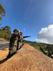 Ilustraci&oacute;n 3