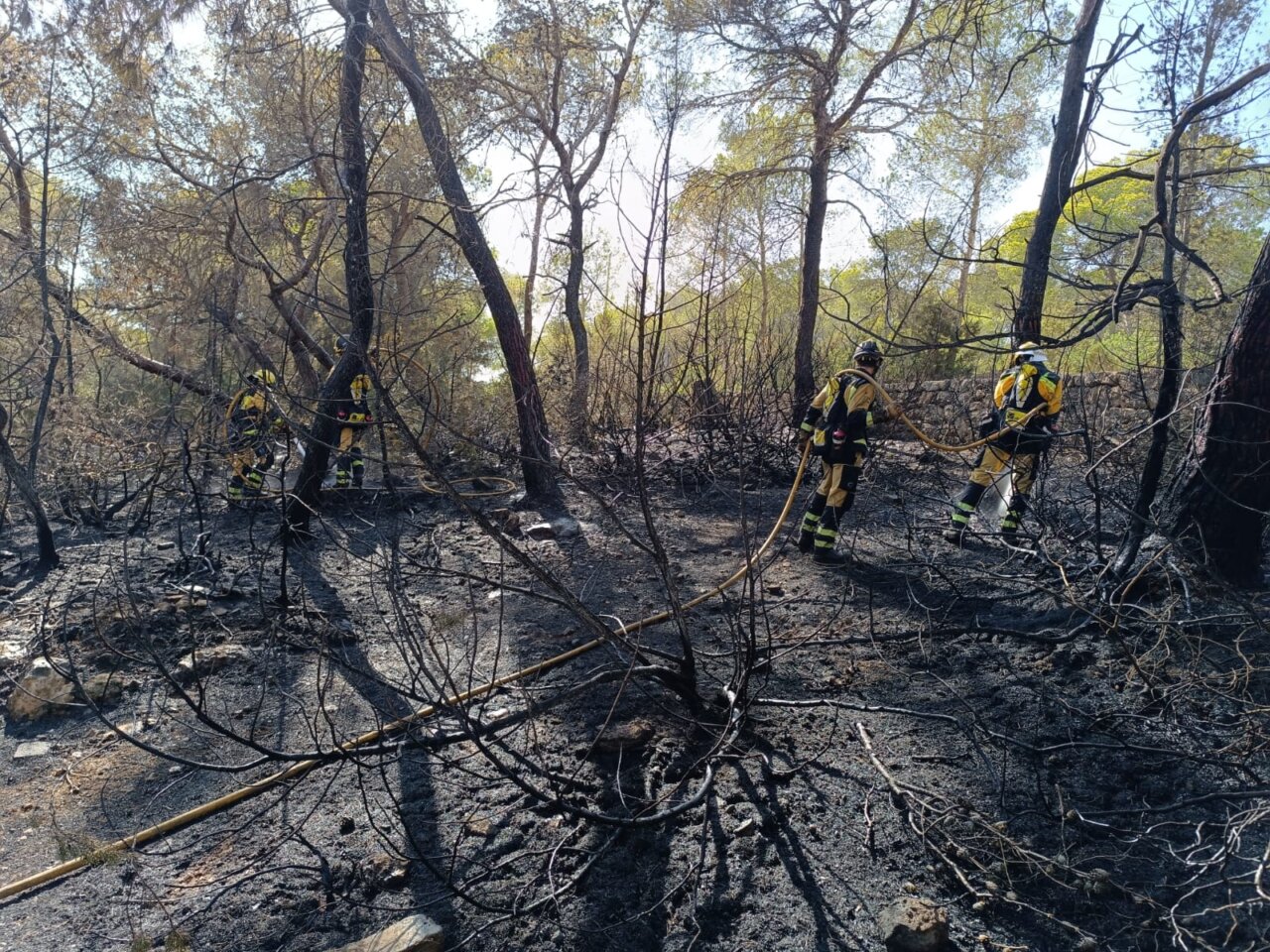 Incendio en Sant antoni arrasó con 0,23 hectáreas de pinares. Incendio en Sant antoni arrasó con 0,23 hectáreas de pinares.