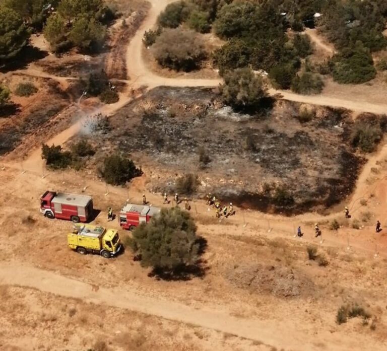 Sucesos. Sofocado un incendio agrícola declarado en Can Misses, Ibiza