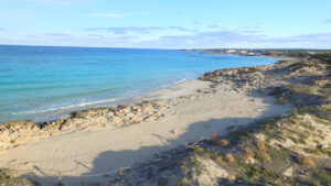 DCIM100MEDIADJI 0190.JPG