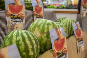 Presentación de la campaña de la sandía de Ibiza.