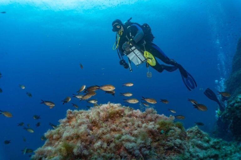 El Govern ampliará la Reserva Marina des Freus en 5.600 hectáreas