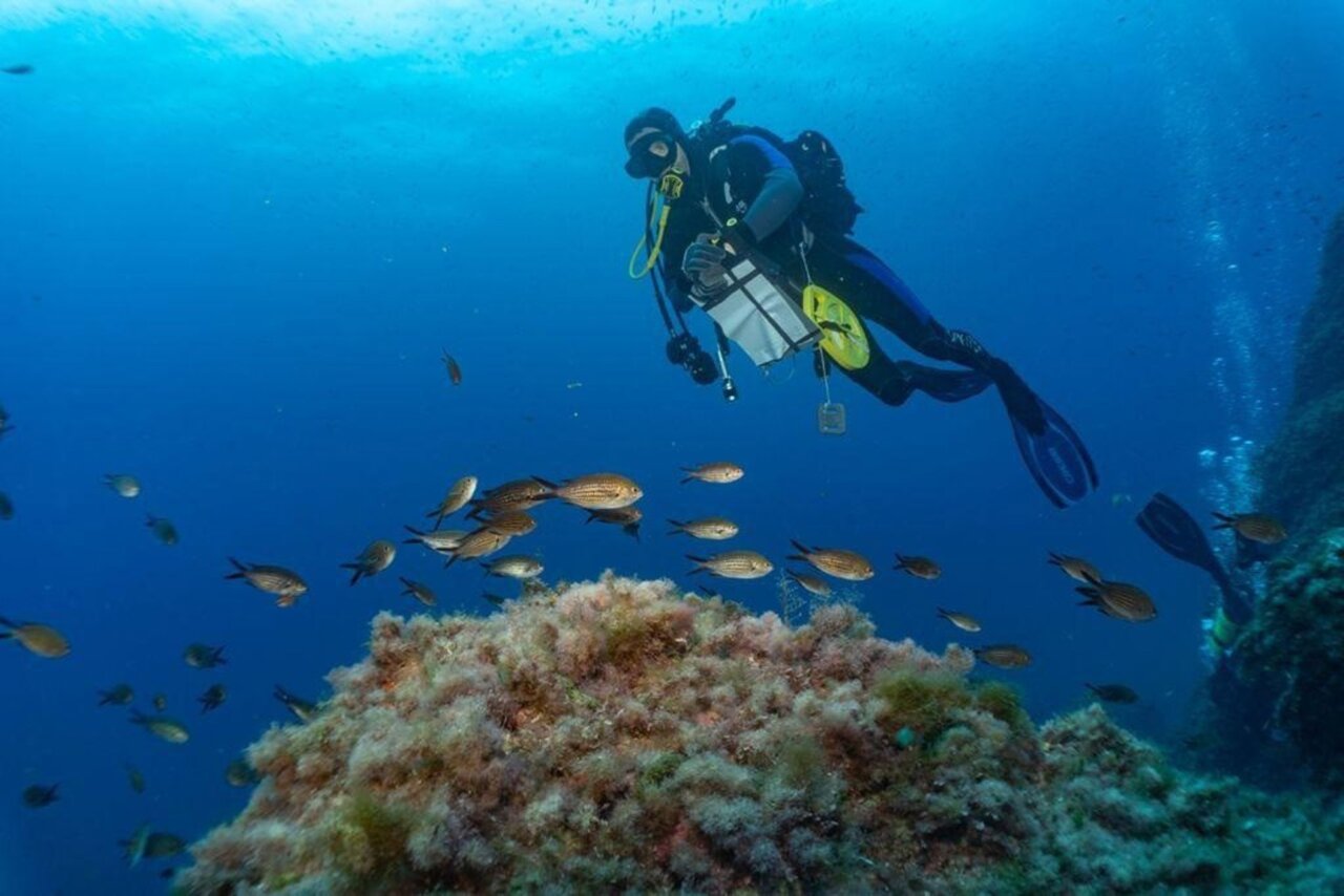 El Govern ampliará la Reserva Marina des Freus en 5.600 hectáreas