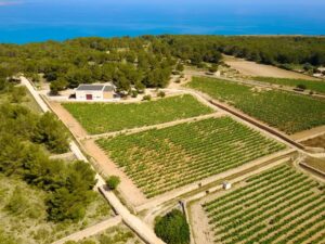 DCIM100MEDIADJI 0158.JPG