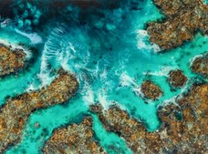 “Authentia” de Gemma Gavaldà