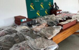 20250821 op Lezo Bal (1)