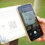Parada y la innovadora aplicación web para descubrir la riqueza botánica del municipio. Ayuntamiento de Santa Eulària