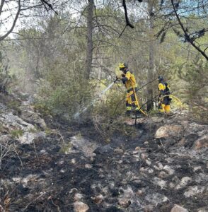Sucesos. Un incendio forestal declarado en Sant Joan de Labritja es extinguido tras quemar 0,087 hect&aacute;reas de pinar