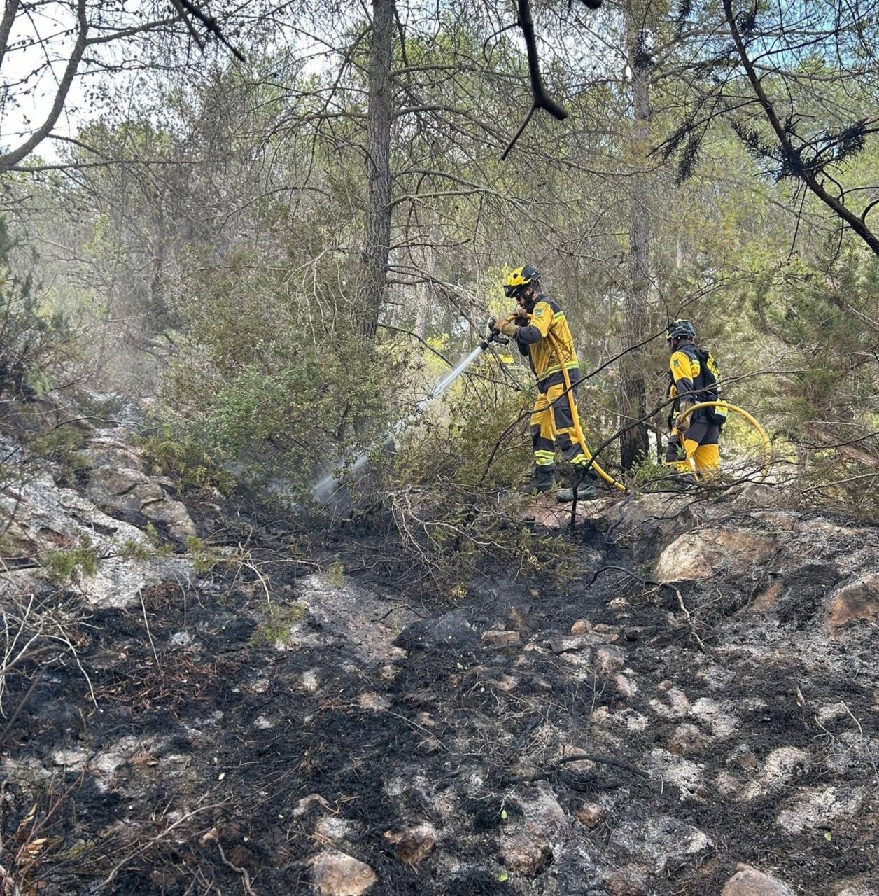 Sucesos. Un incendio forestal declarado en Sant Joan de Labritja es extinguido tras quemar 0,087 hectáreas de pinar