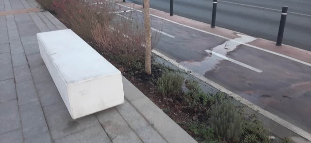 DENUNCIA DE VECINO avenida Santa Eulalia (2)