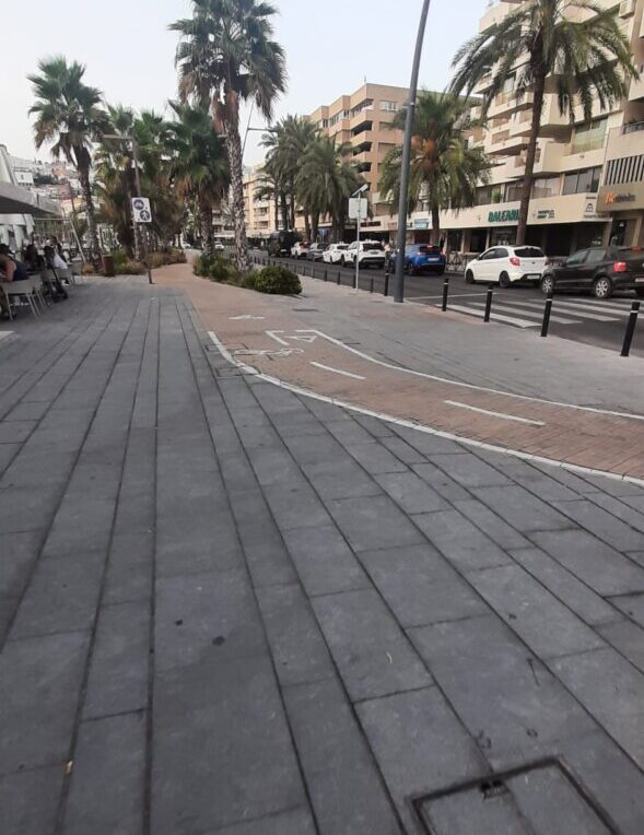 DENUNCIA DE VECINO avenida Santa Eulalia (3)