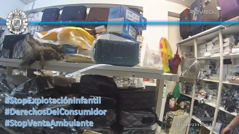 Falsificaciones de venta ambulante incautadas por la Policía de Sant Josep.