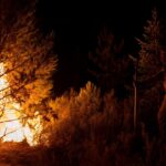 Incendio reciente en León