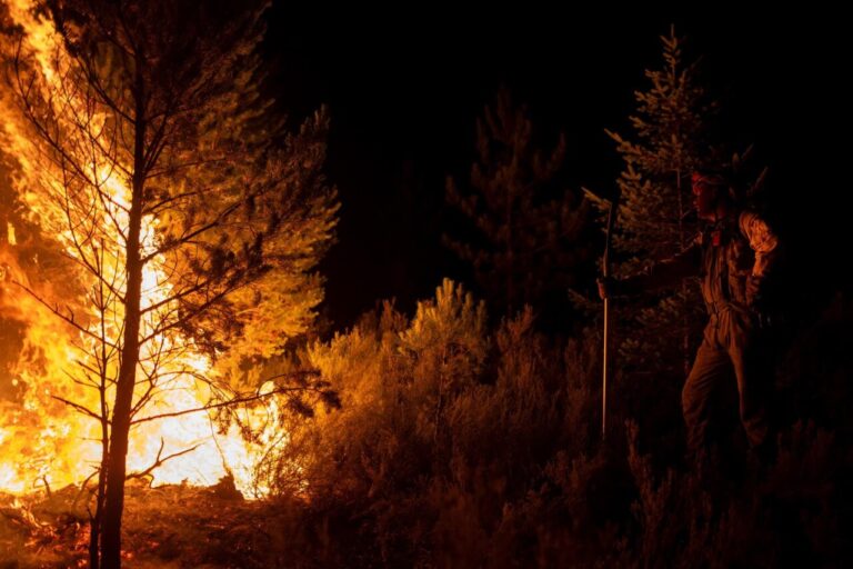 Incendio reciente en León