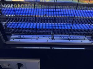 Moscas en un sistema de captación y eliminación de insectos este sábado 2