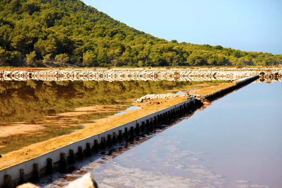 Parque Natural de ses Salines Parque Natural de ses Salines