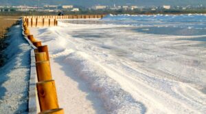 Salinera Espanola Salinas Eivissa i Formentera 5