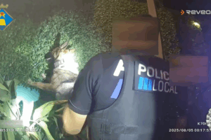 Summer, en plena labor