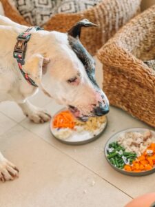 Thor Tails of Talamanca Nobu Ibiza Credits Miguel P&eacute;rez