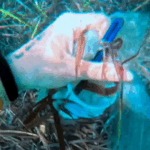 basura en ibiza