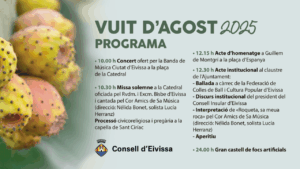 Media pag CONSELL AL DIA lavoz