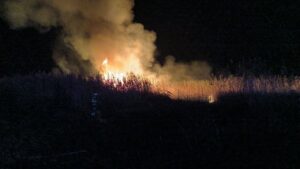 Sucesos. Extiguido el incendio con seis focos en s'Albufera, que se investiga como intencionado
