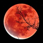 Luna llena y eclipse total: cu&aacute;ndo es y c&oacute;mo verlo