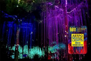 Bibo Park Astro Light