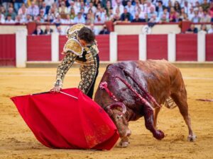 El incidente del torero peruano Roca Rey