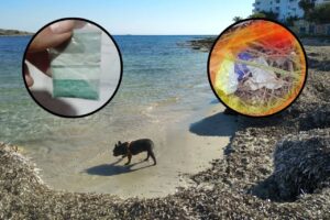 Fisher en [UNVRS]. Archivo