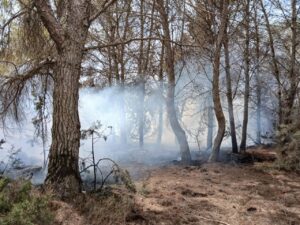 Incendio forestal en Formentera